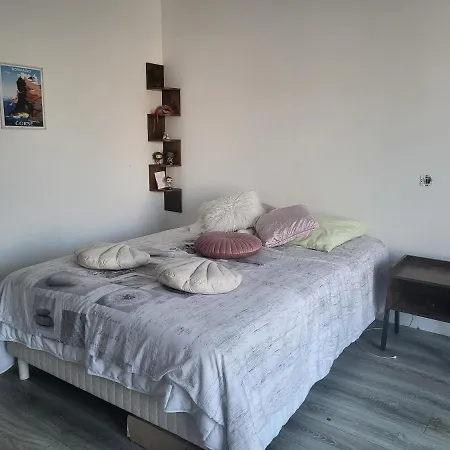 Nouveau Bas De Villa, Confort Et Detente * Bastelicaccia