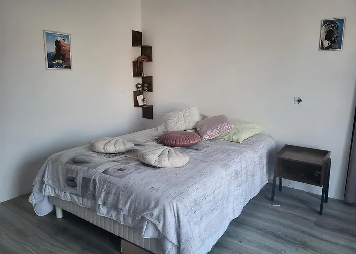 Nouveau Bas De Villa, Confort Et Detente * Bastelicaccia